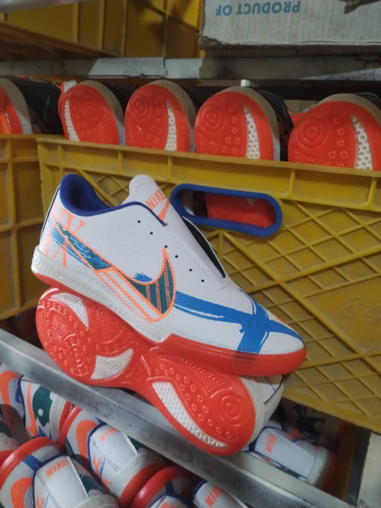 تنوع مدل‌ها